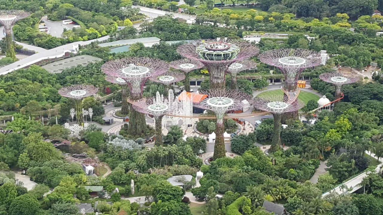 GARDENS BY THE BAY; IMAGE CREDIT: SAYANTANI PODDER