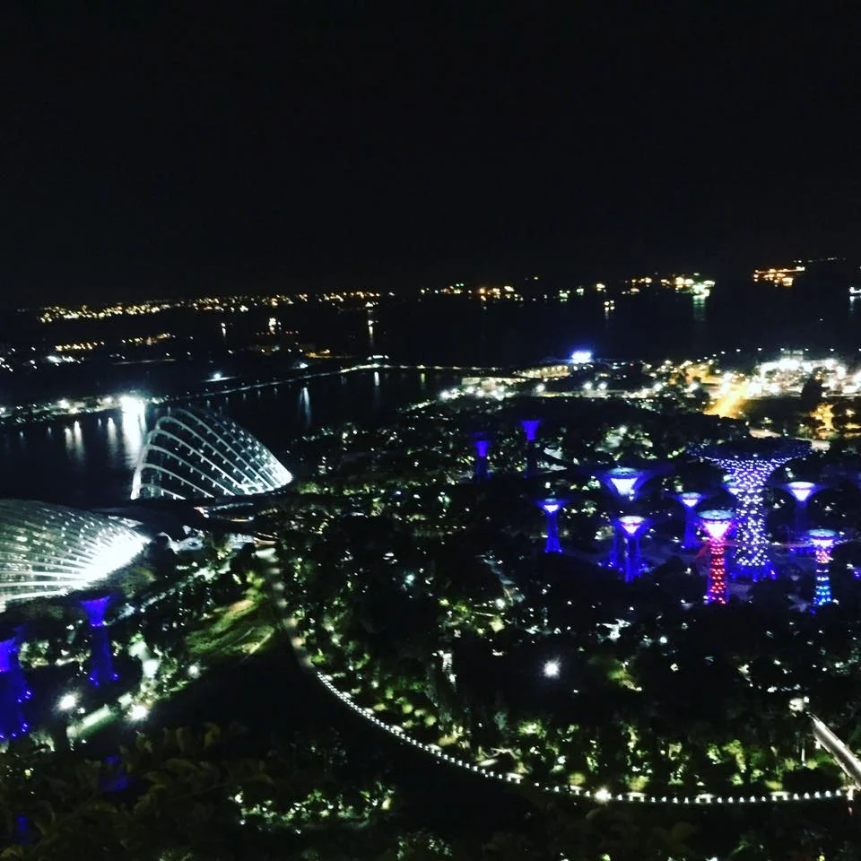 THE VIEW OF GARDENS BY THE BAY FROM MY ROOM