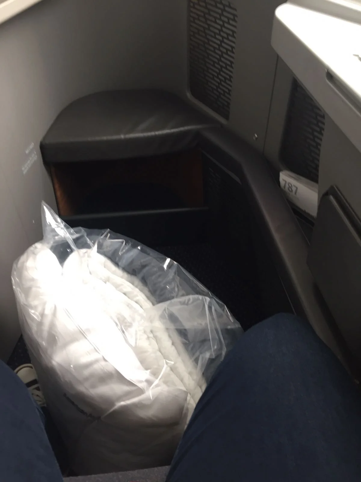 American Airlines Business Class Seats