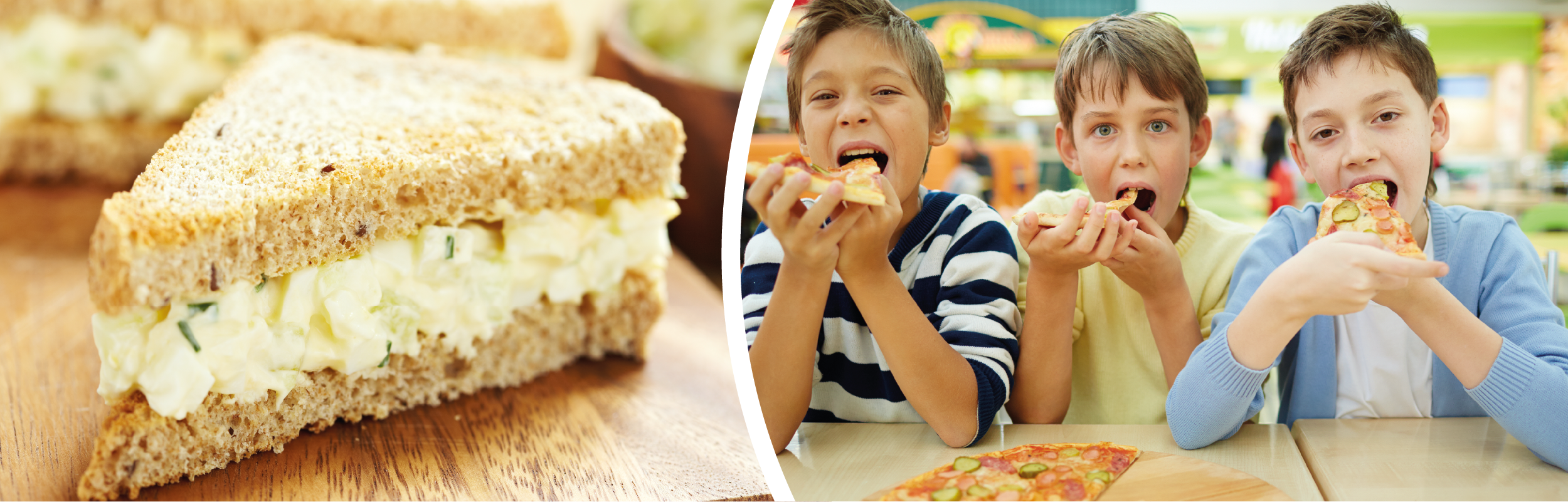 Website Banners_EGGS IN OTHER FOODS.png