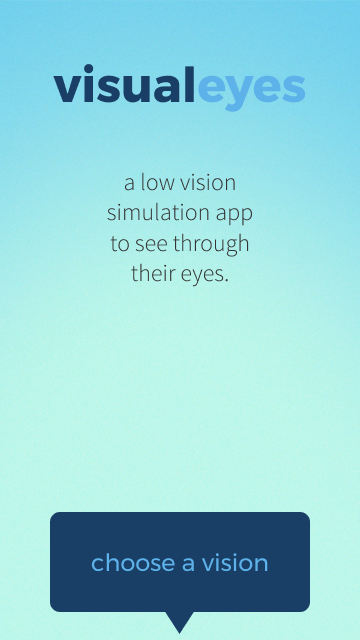 Loading screen. Default for VisualEyes.