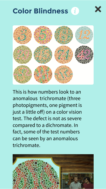 Information view. The user can learn more about a visual impairment.