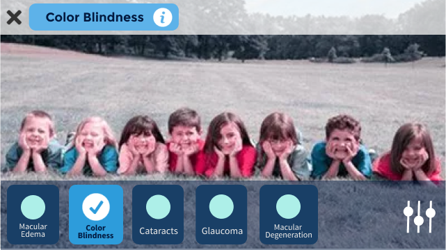 Filter view. The user can select from more than one visual impairment to create a filter.