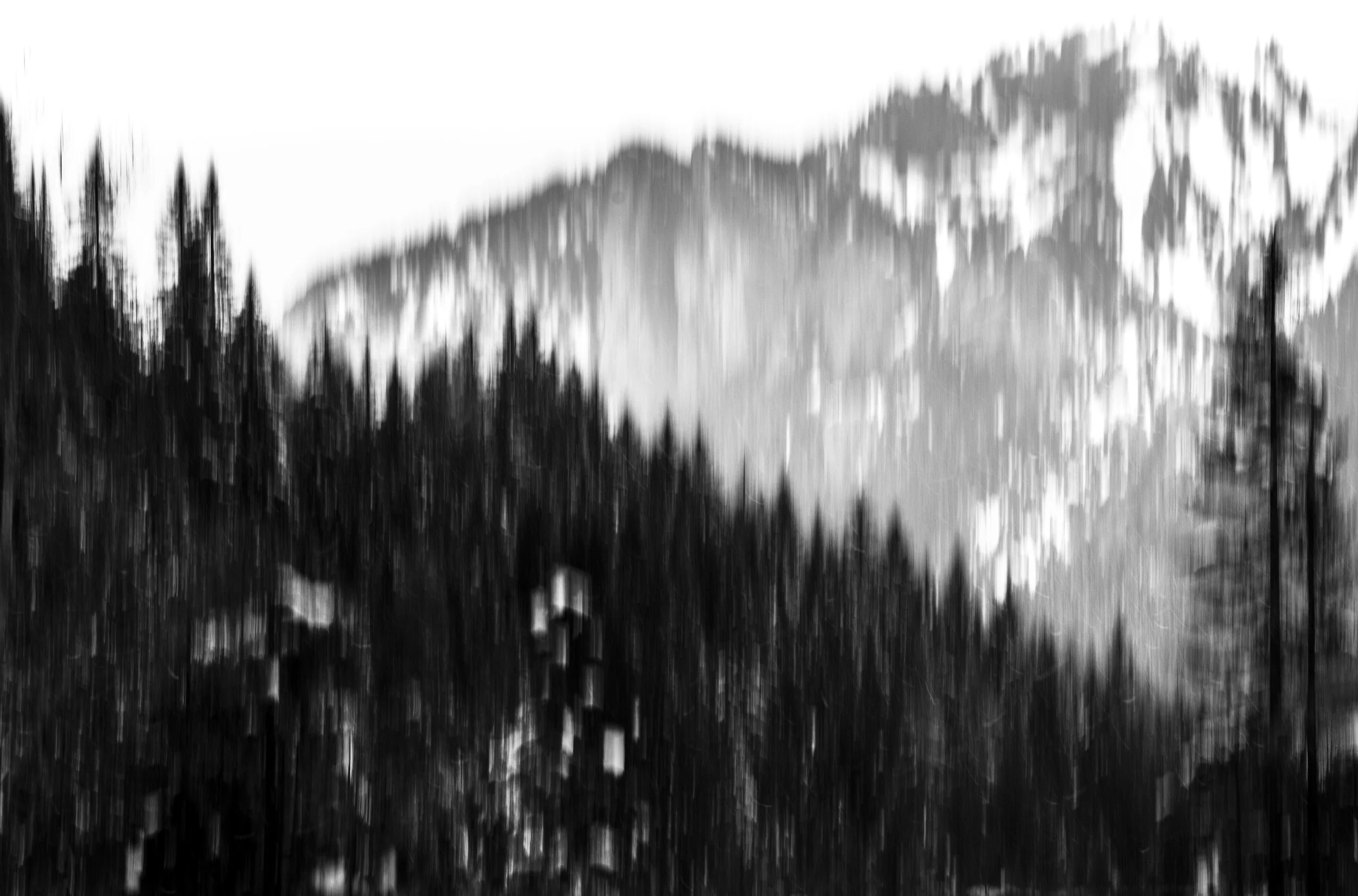 Black and white landscape photo of distant mountains with trees in the foreground, blurry and abstract.