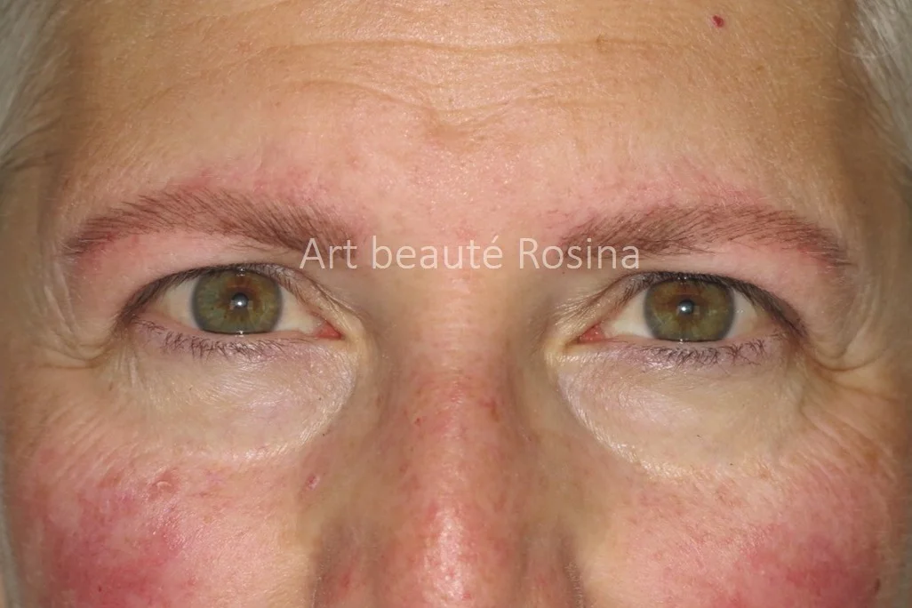 Sourcils pigmentés