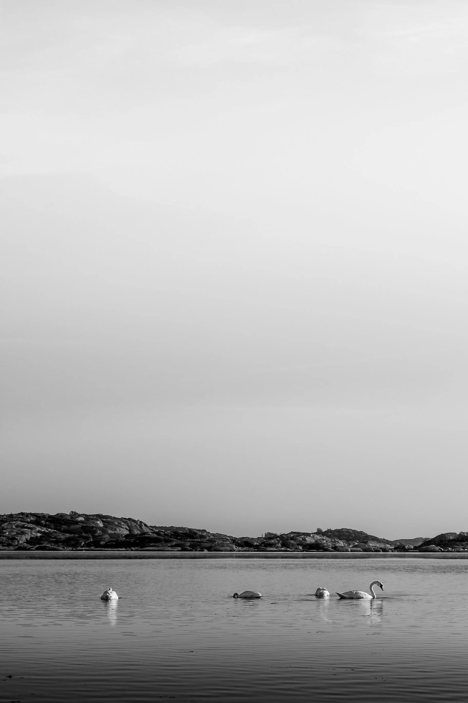 _DSC3043.jpg