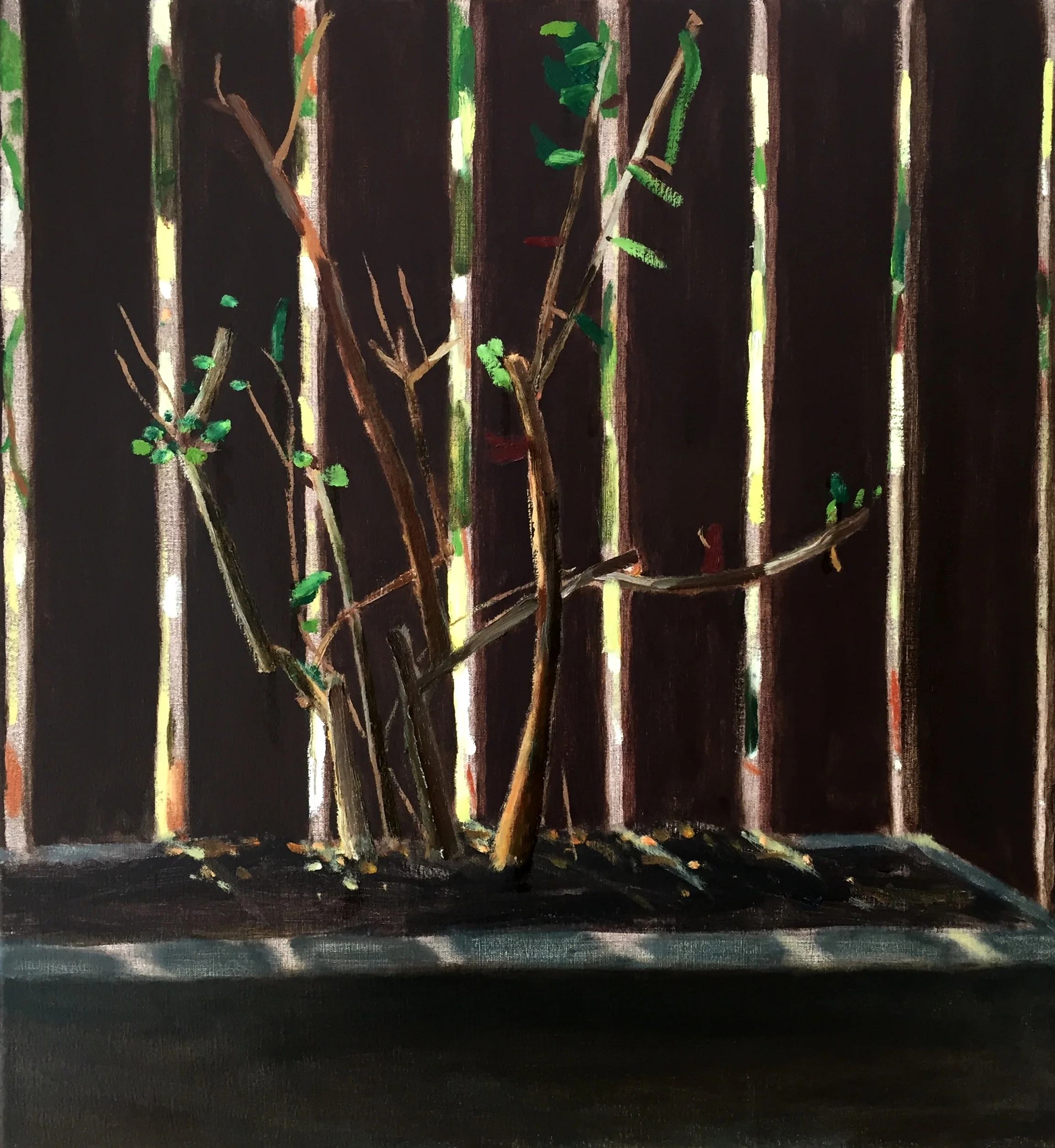 Fence Study I (passionfruit vine)