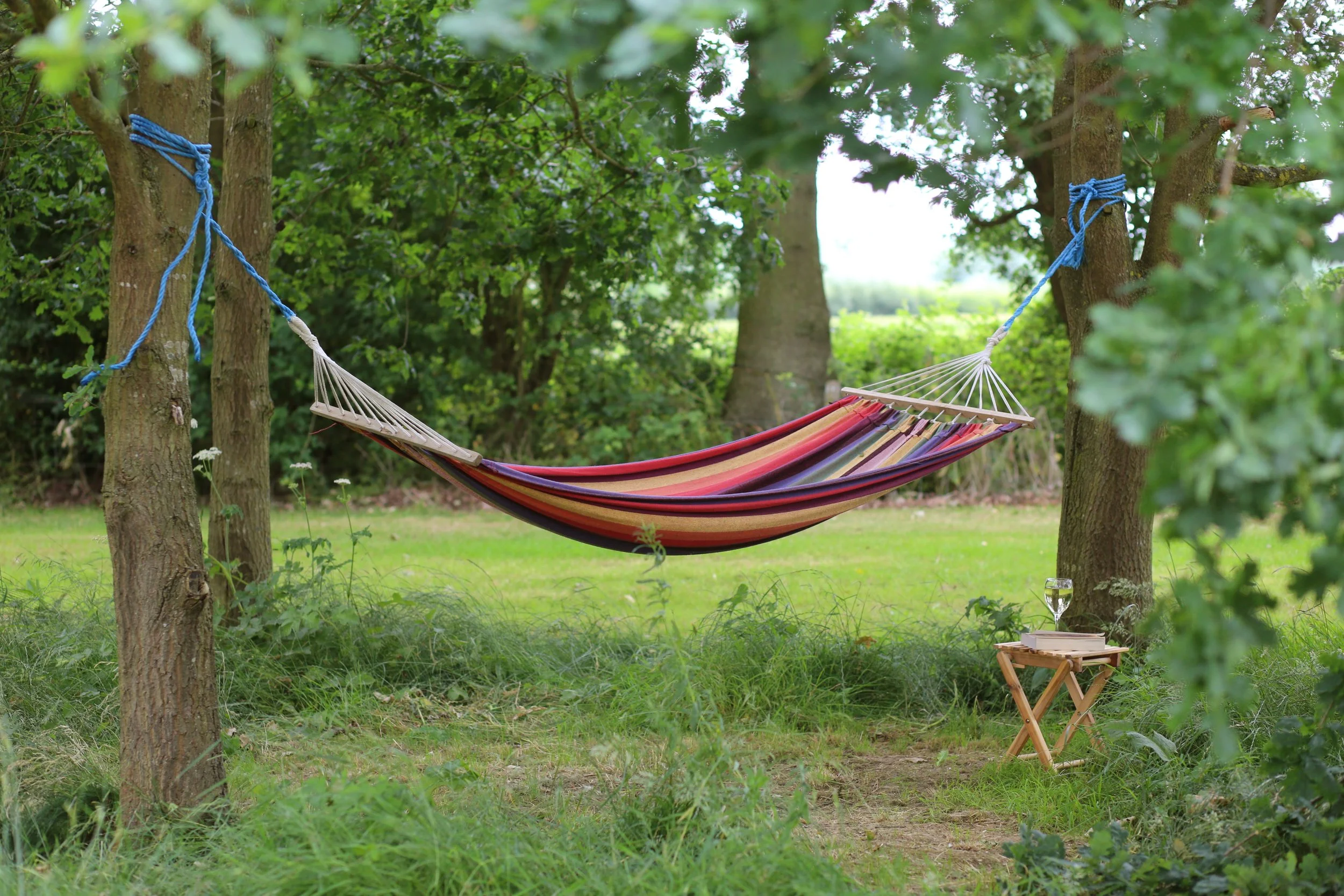 hammock landscape.jpg