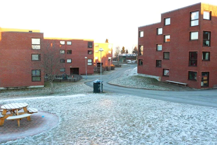 web_moholt-16.jpg