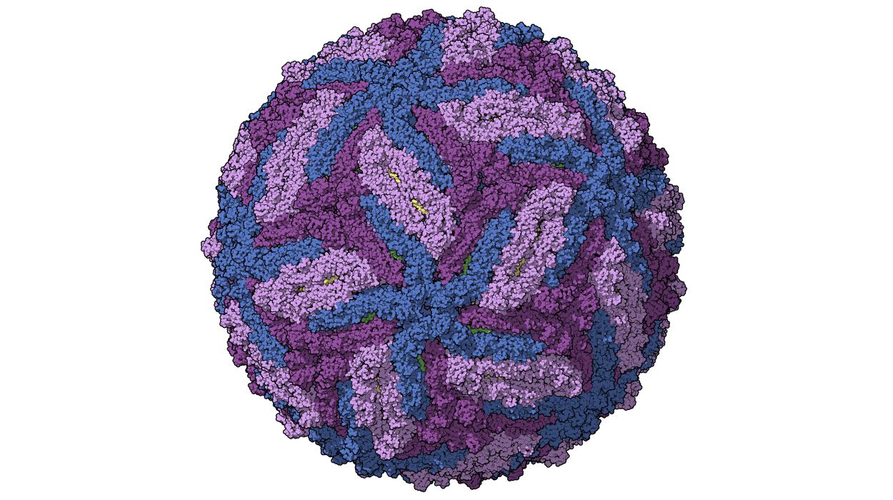 Zika-chain-colored.jpg