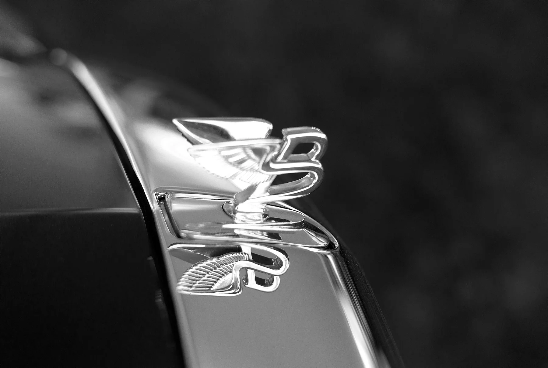 Concours D'Elegance Radnor Hunt Various Years