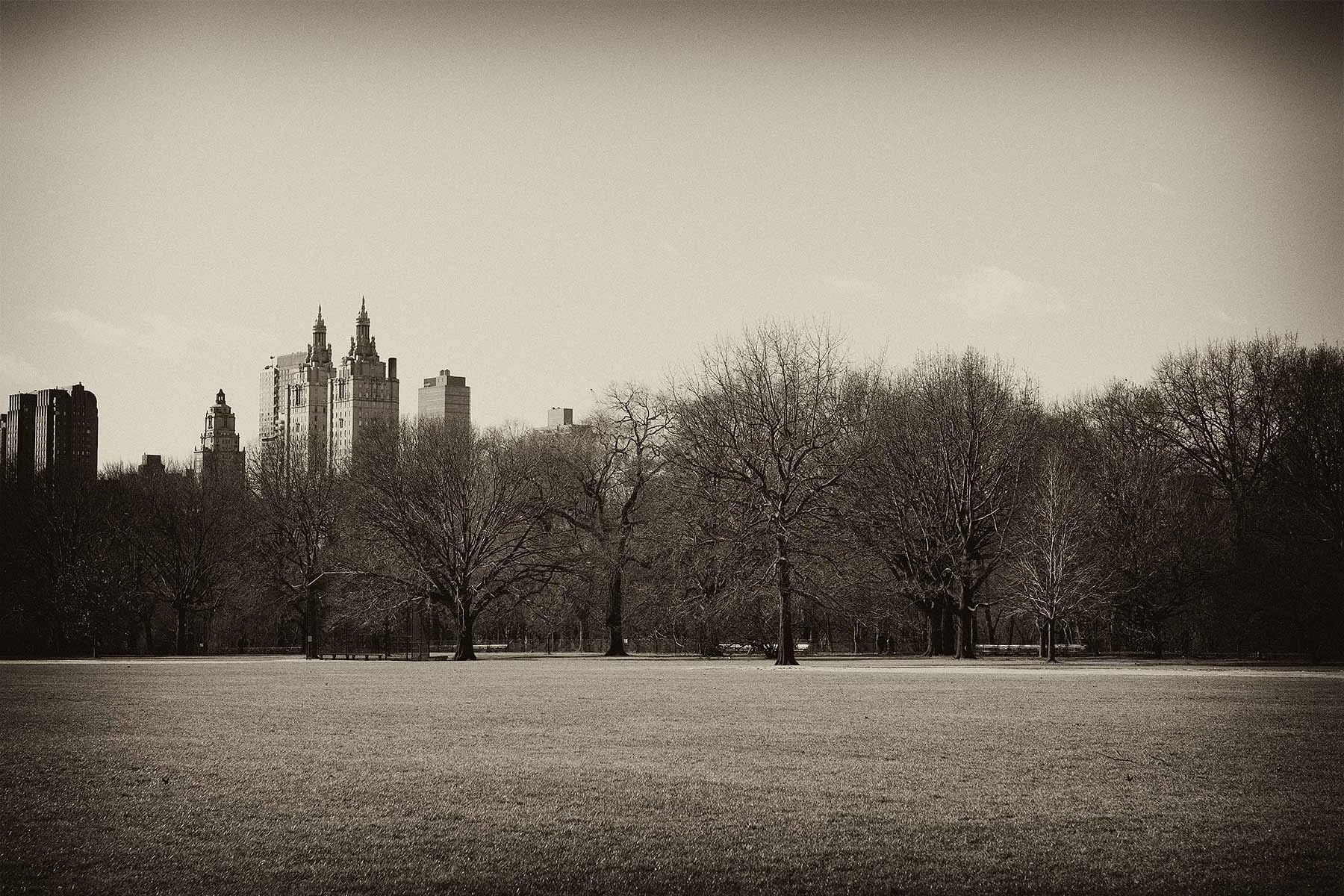 Central Park Winter Studies