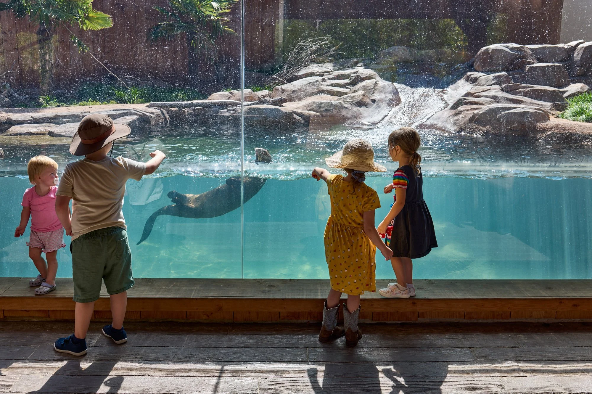  Caldwell Zoo BKP Architects Tyler, TZ 