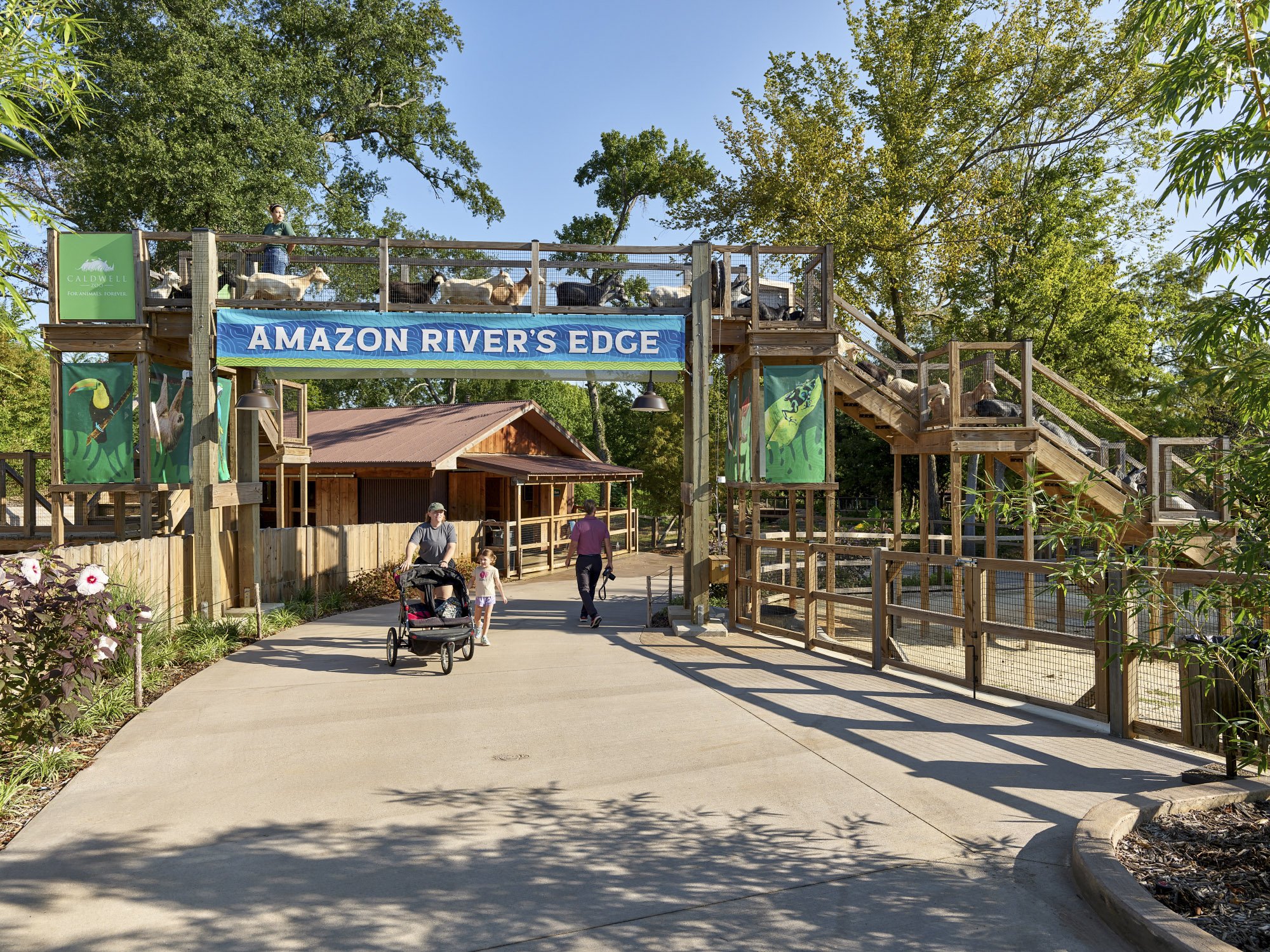  Caldwell Zoo BKP Architects Tyler, TZ 