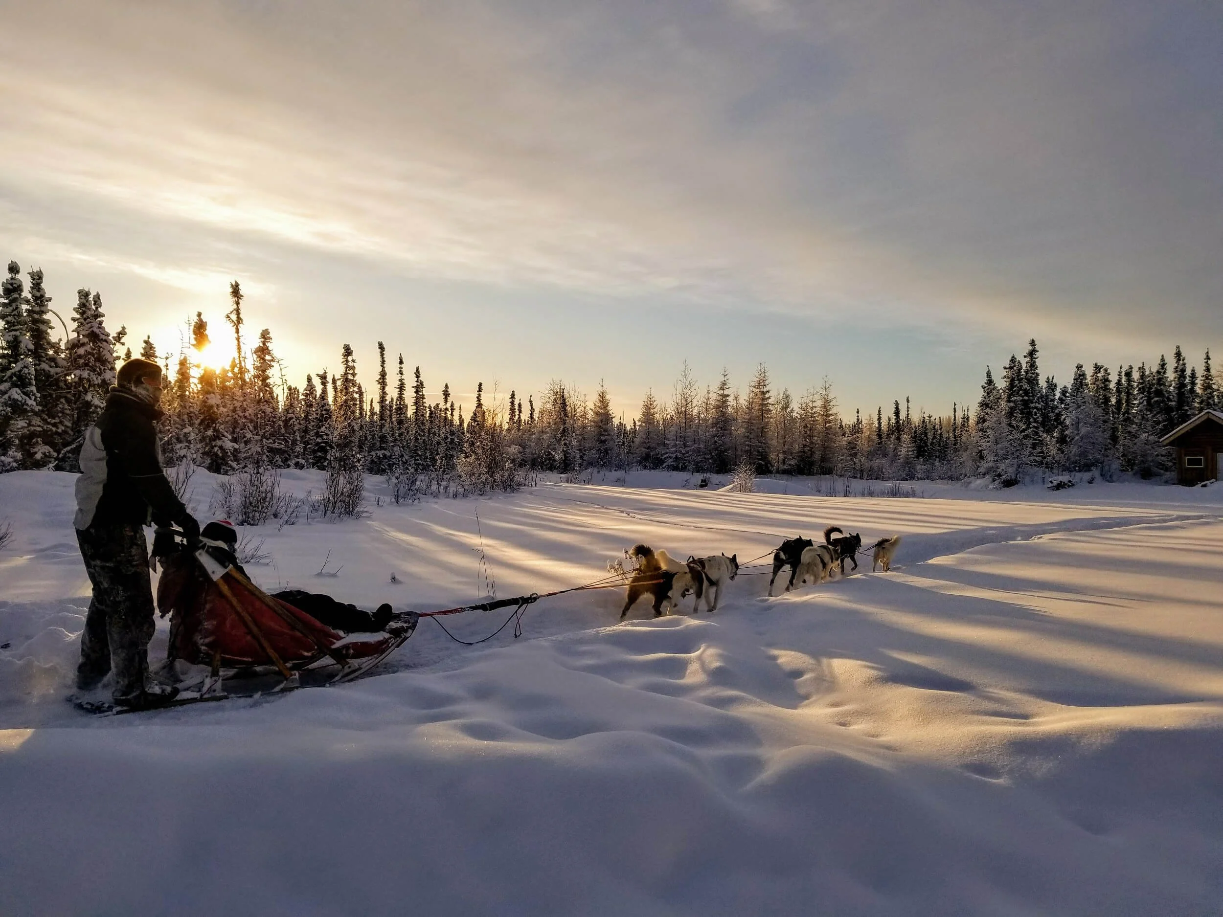 Mushing in Alaska