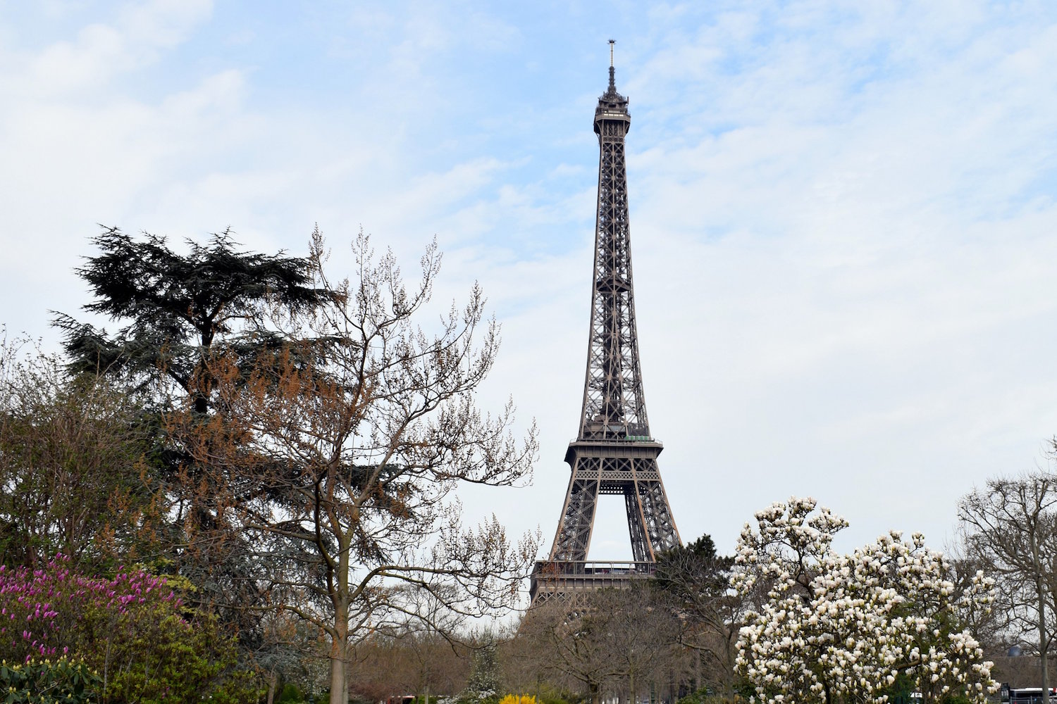 March trip to Paris- less crowded and just as beautiful