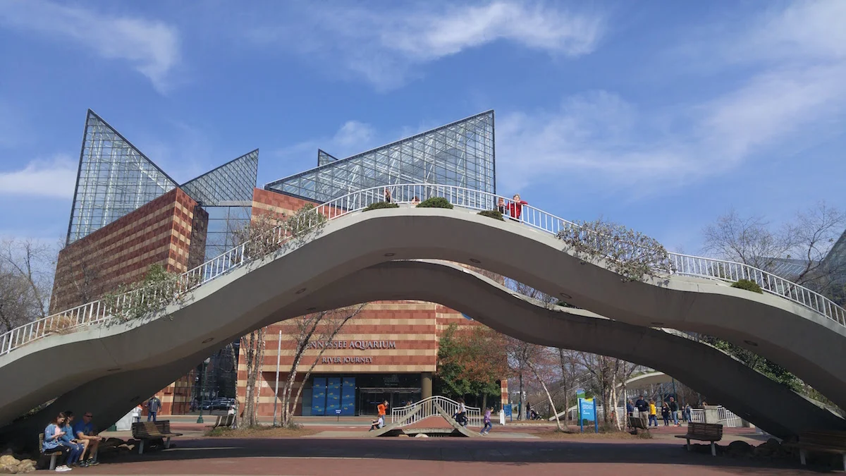 The kids will love to climb up the wavy bridges outside the Tennessee Aquarium
