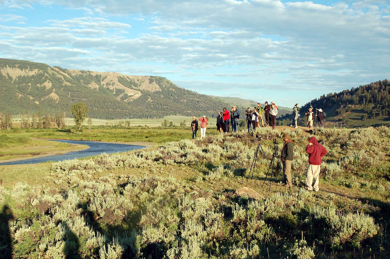 Yellowstone National Park