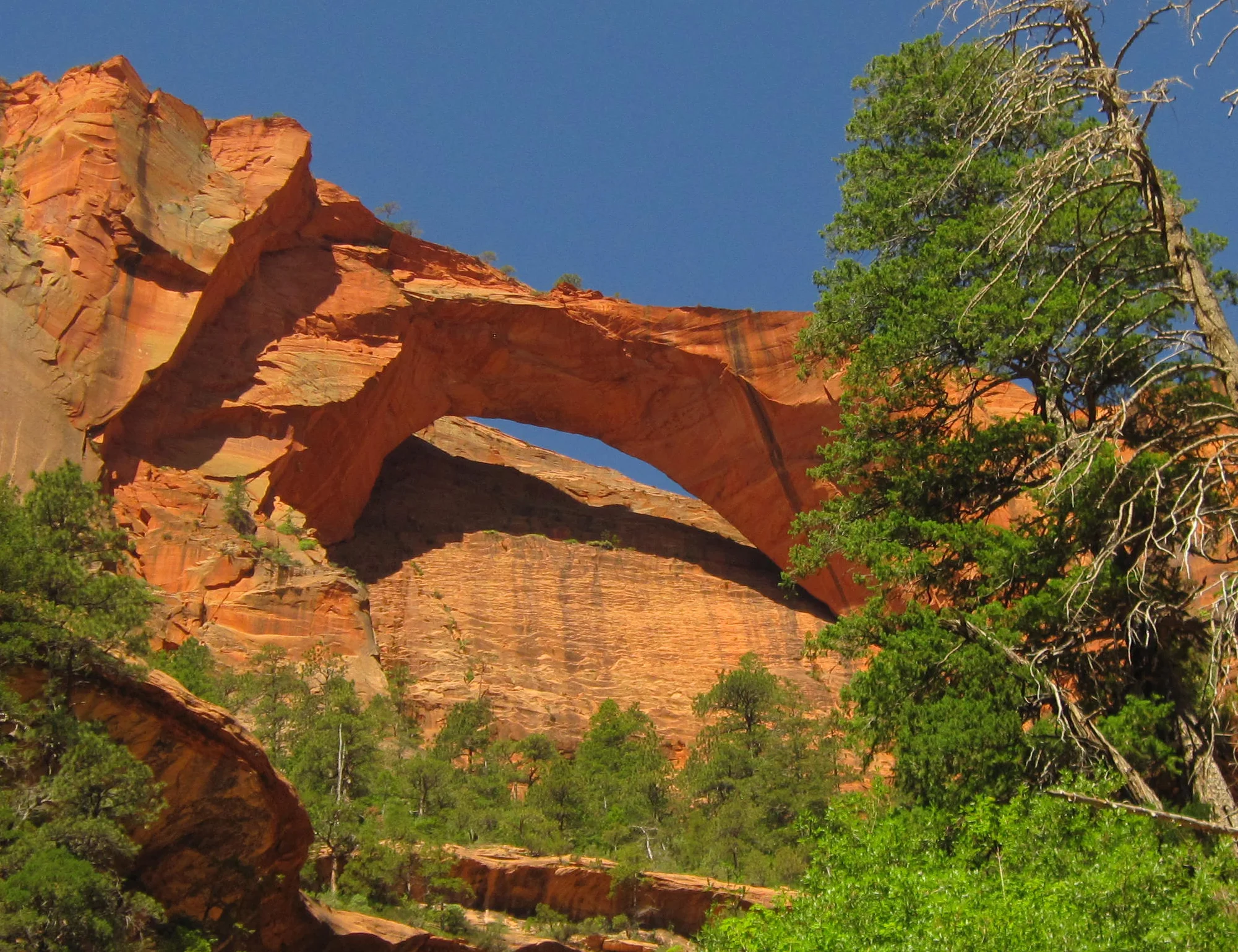  Kolob Arch, picture courtesy of the National Park Service