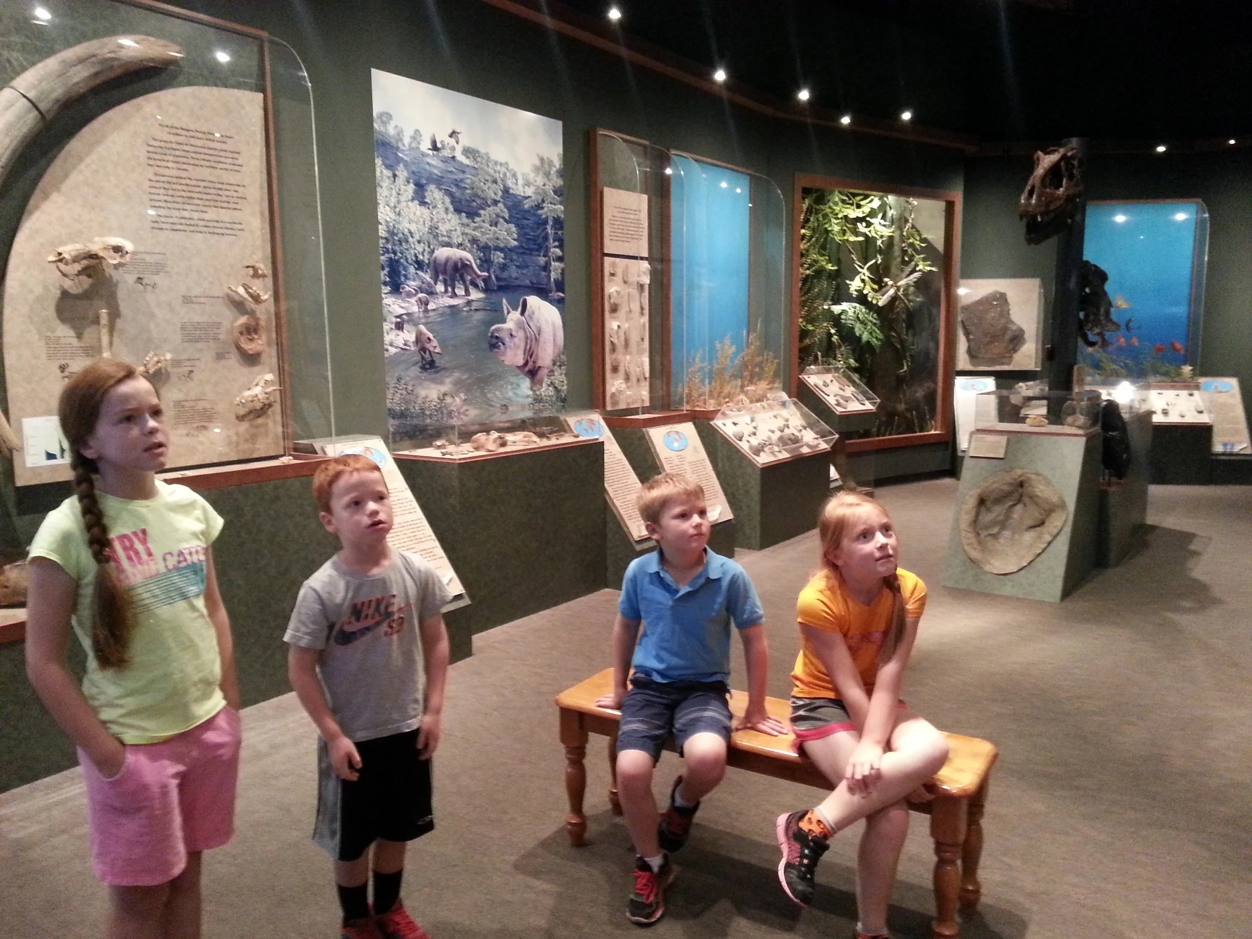 They were fascinated by a video showing plate tectonics and continental drift. I was fascinated by how much they were fascinated.