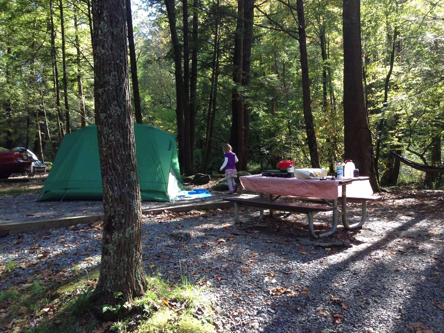 Cades Cove Campground In Great Smoky Mountains National Park — Simply