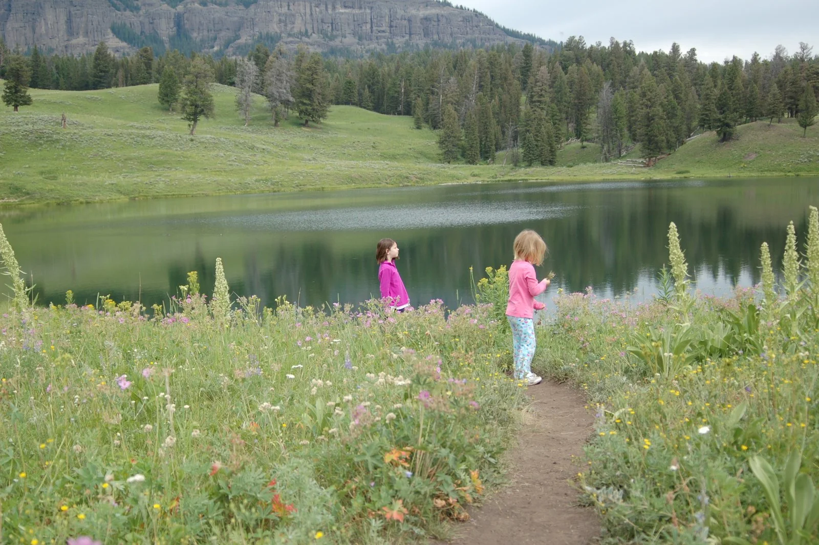 How To Spend A Simply Awesome Day In Yellowstone's Lamar Valley