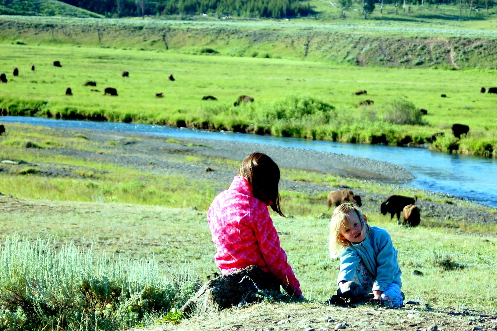 How To Spend A Simply Awesome Day In Yellowstone's Lamar Valley
