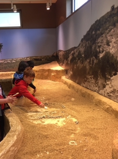 Digging for fossils.