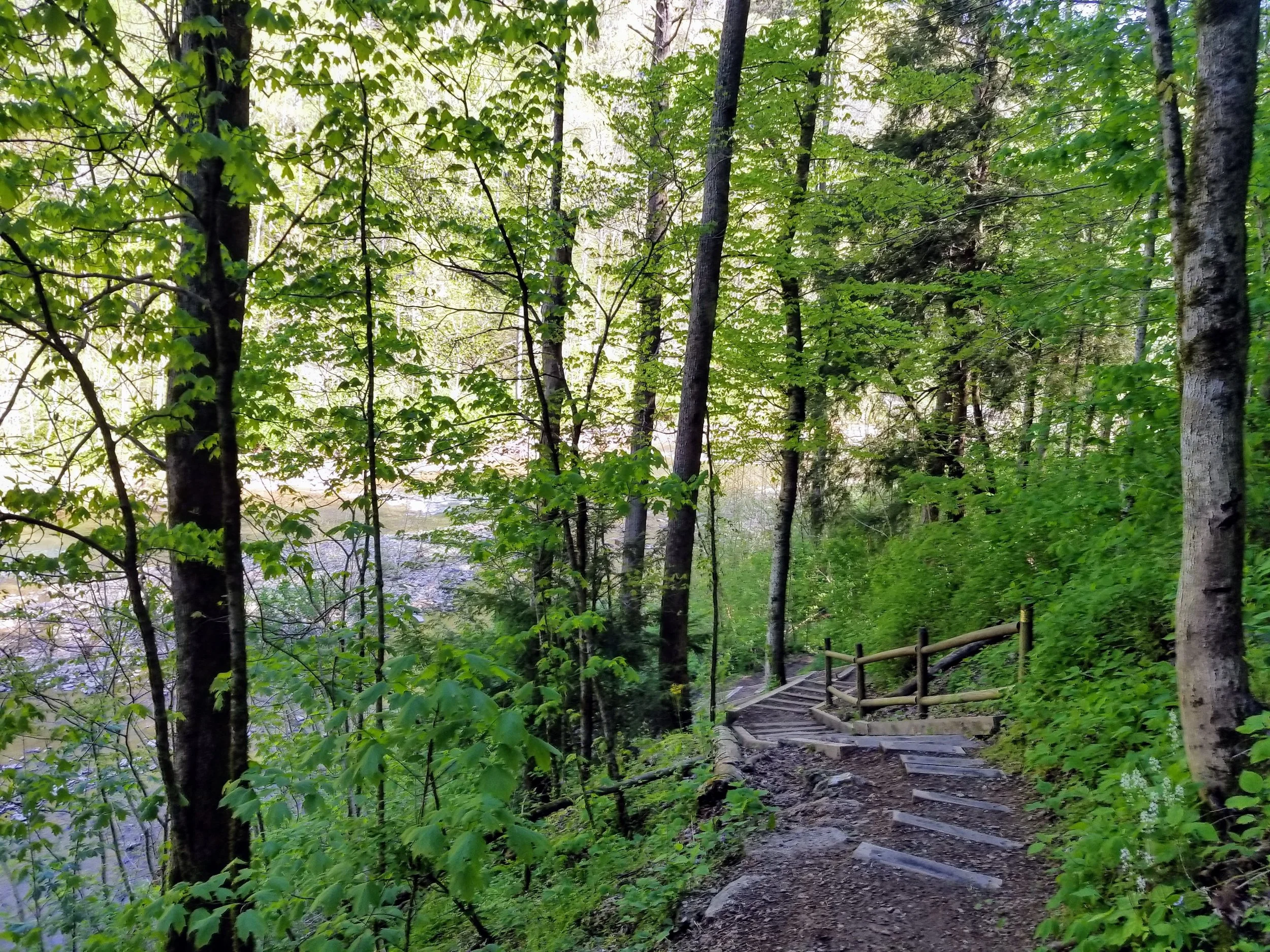Stairs down to the water. 