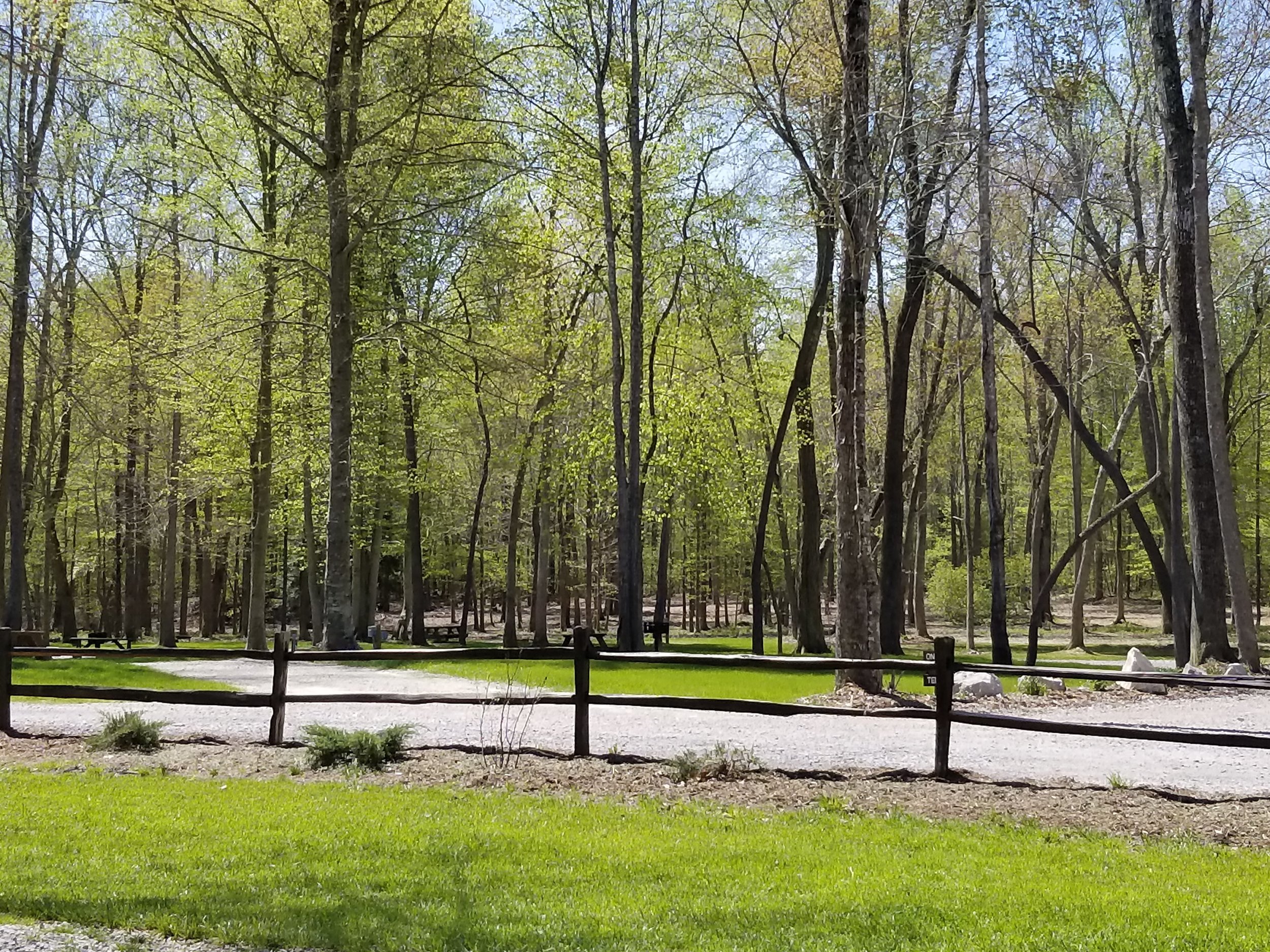 Tent spots at Old Mill Camp