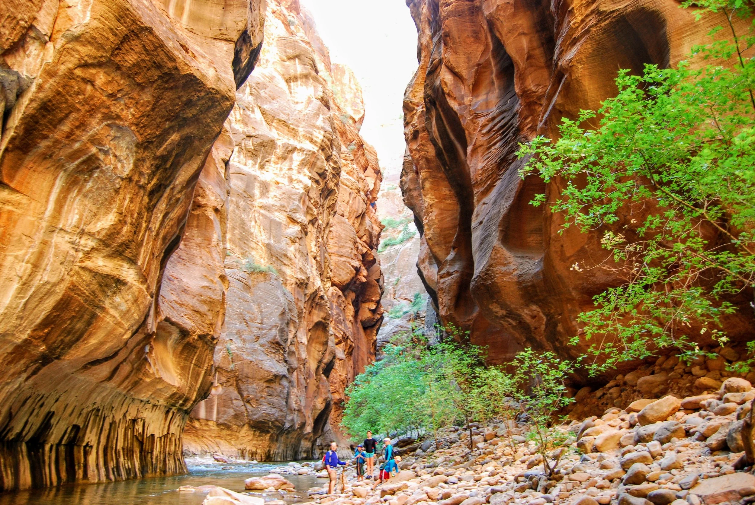 It is really hard to take a bad picture on this hike.