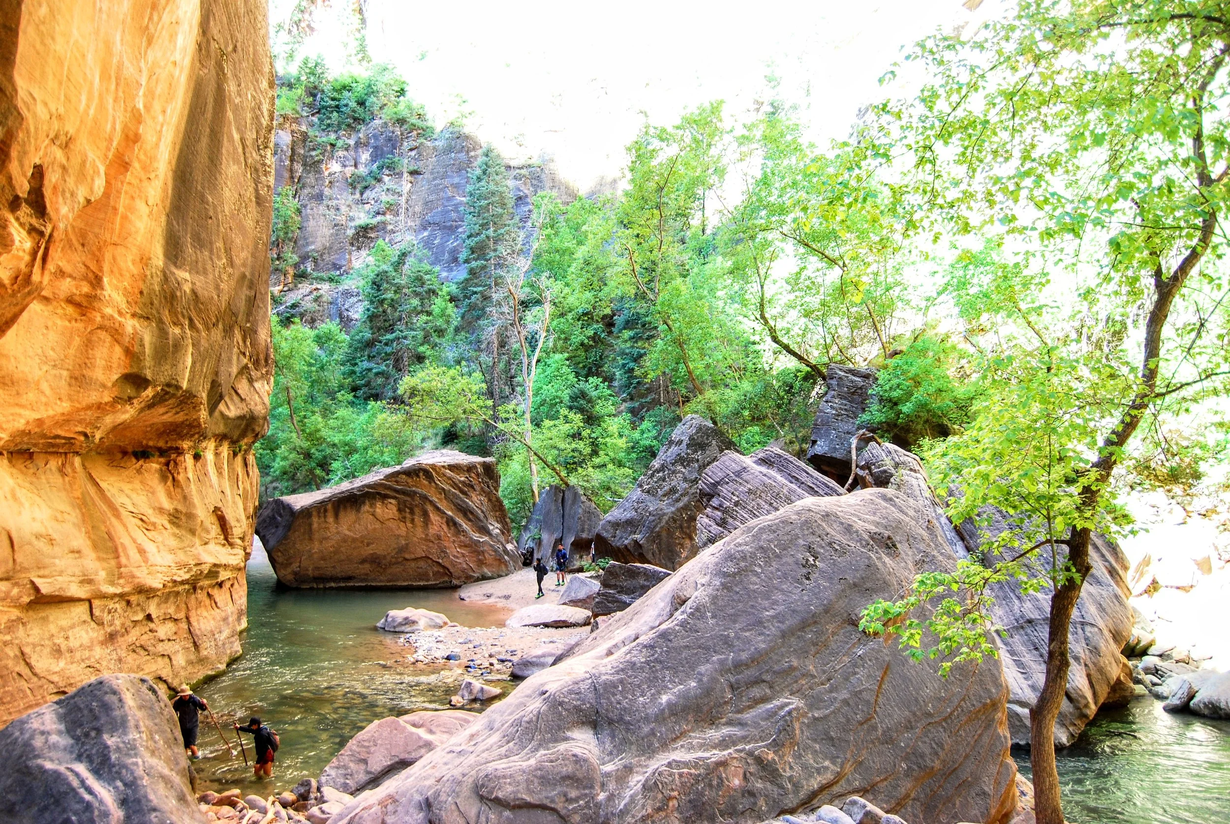 There are occasionally big pools to cross through on your way up the Narrows, especially around these rocks. Some are surprisingly deep.