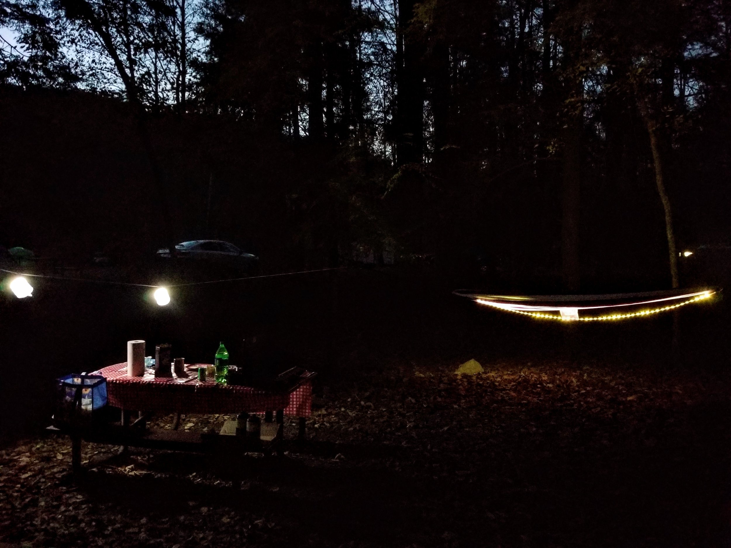 Luci lights hanging over the picnic table