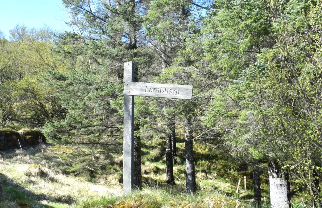 One of the wooden Lambhagi trail signs