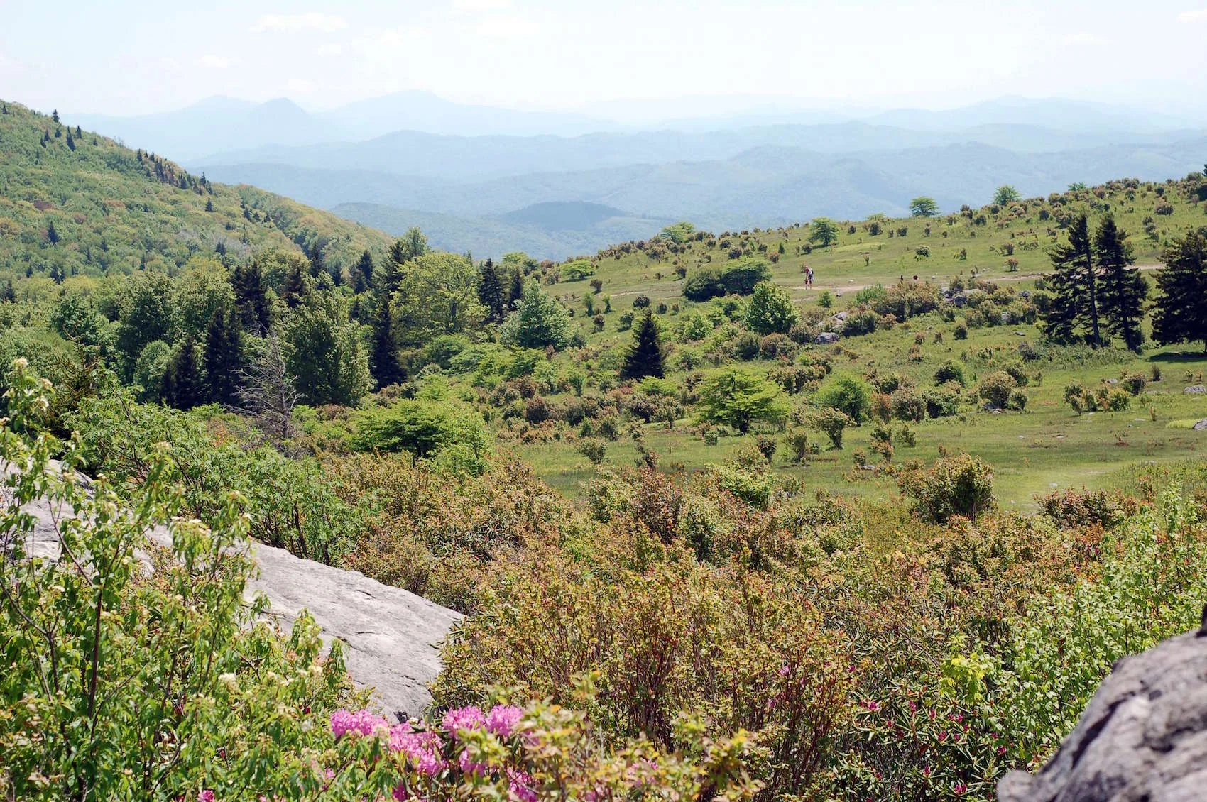 Grayson Highlands State Park