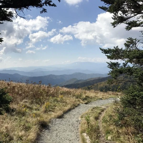 The Appalachian Trail in Roan Mountain State Park near Johnson City