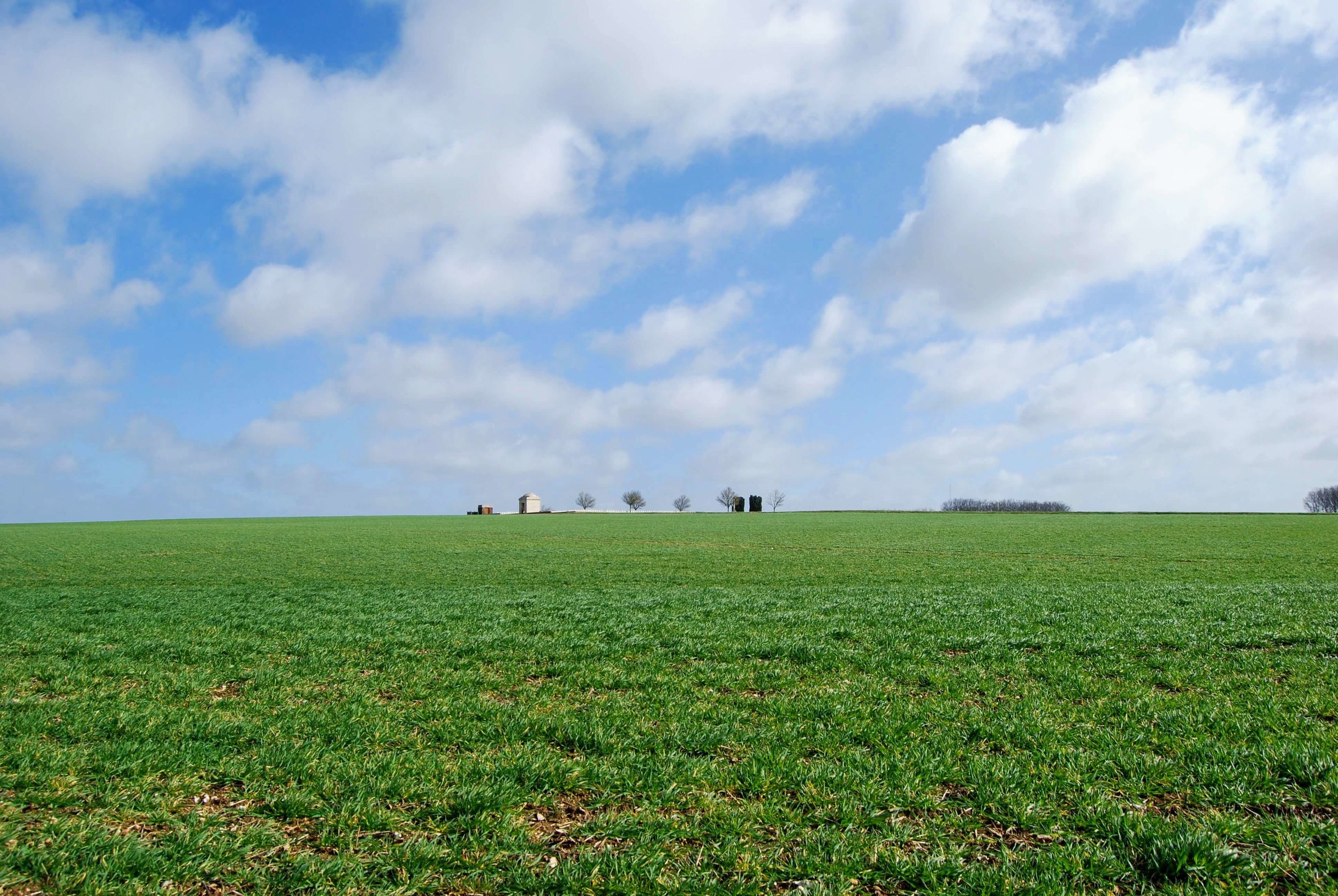  Looking across No Man's Land to the German lines in Thiepval. This was the hill the Allies had to repeatedly try to run up while withstanding withering enemy fire.  