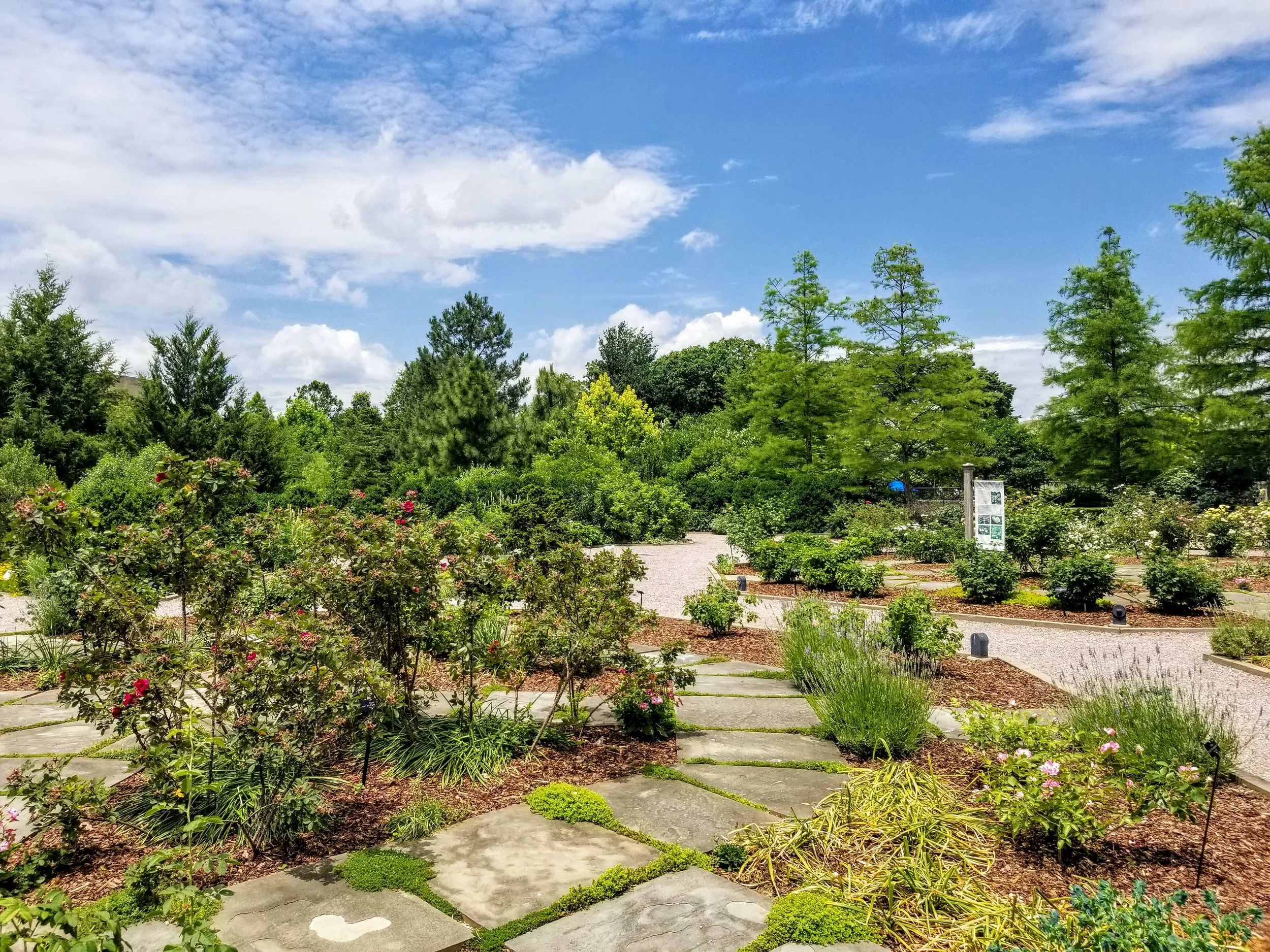 The US Botanic Gardens are a beautiful oasis of calm in a sea of