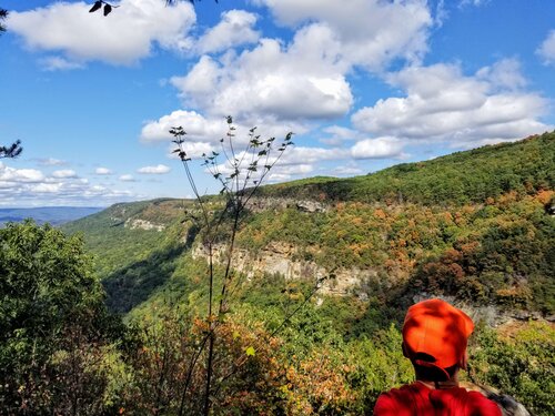The Definitive Guide To Cloudland Canyon State Park — Simply