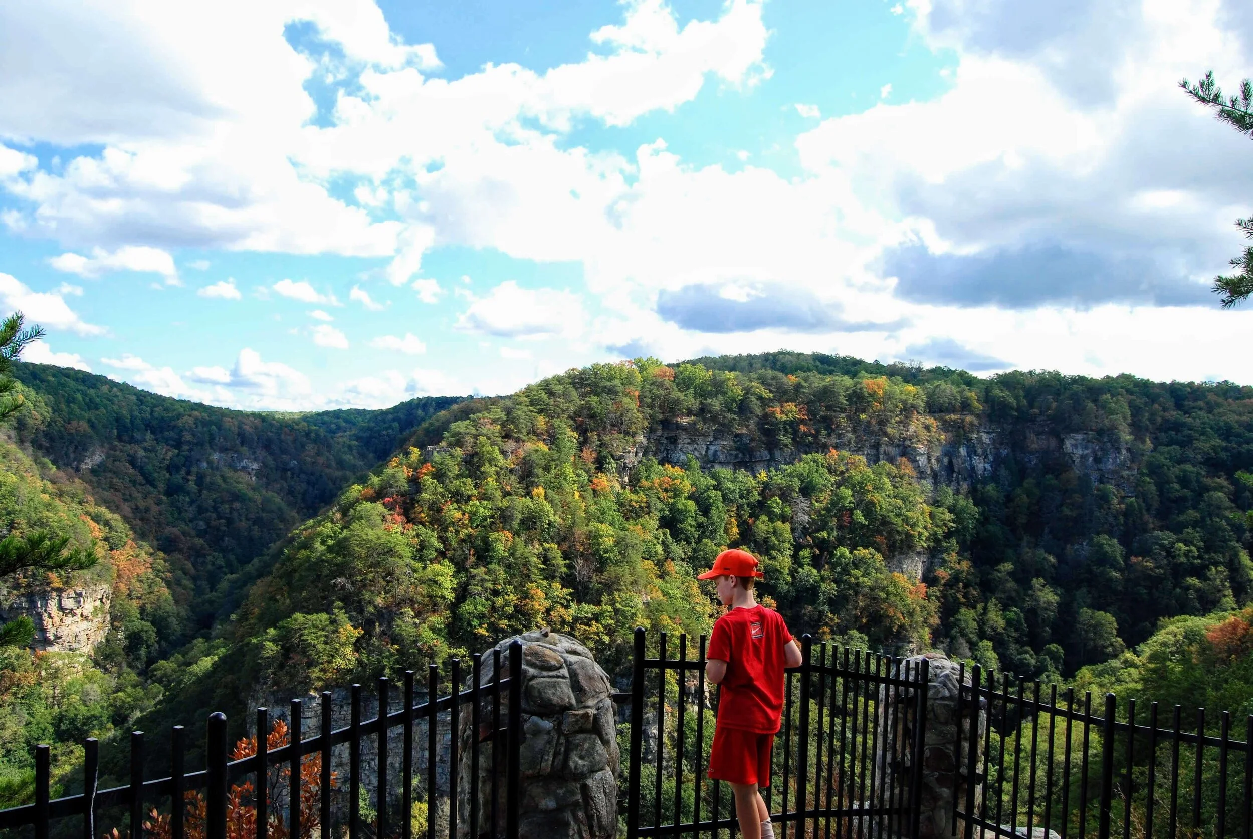 The Definitive Guide To Cloudland Canyon State Park — Simply Awesome Trips