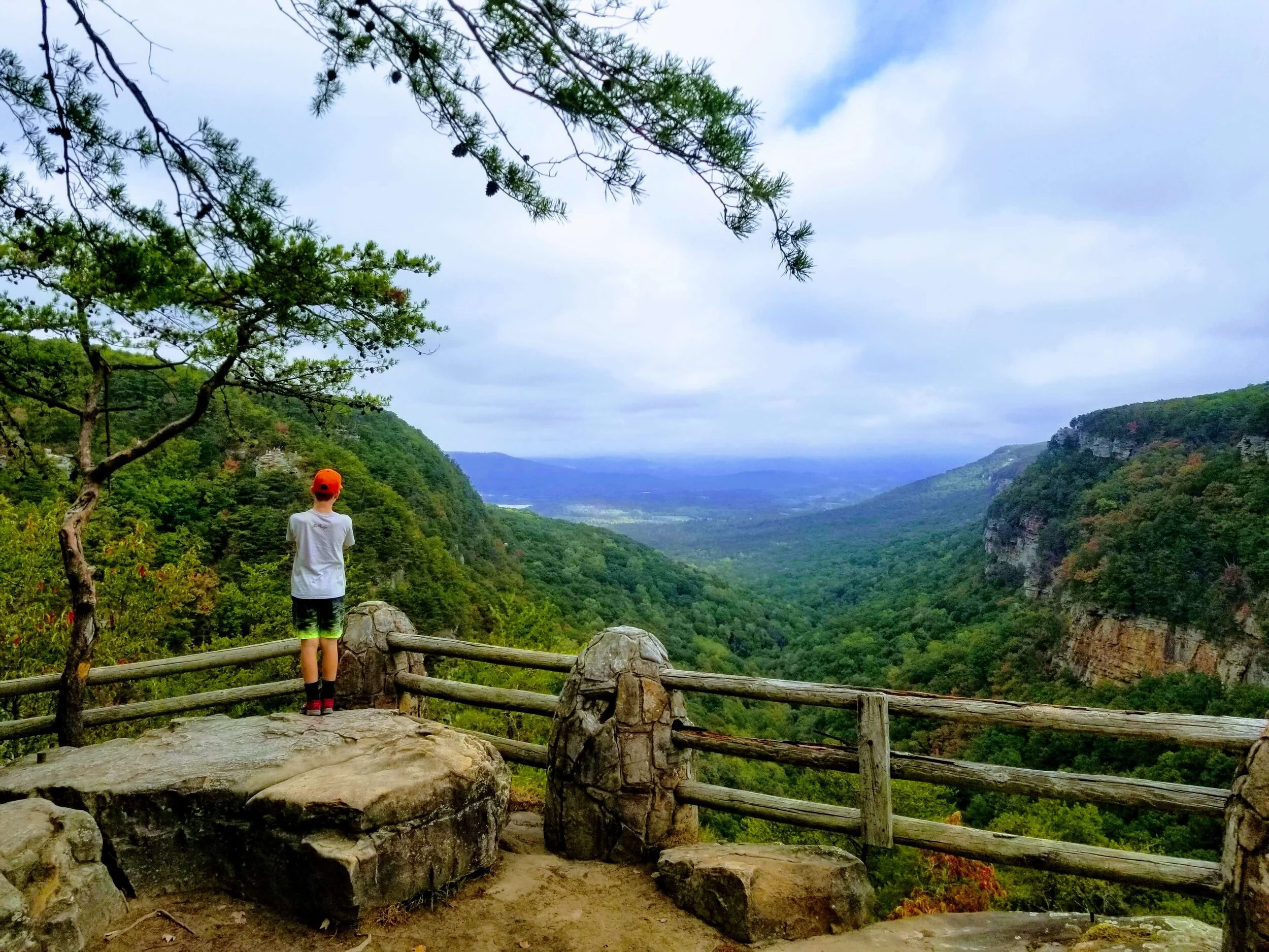 The Definitive Guide To Cloudland Canyon State Park — Simply Awesome Trips