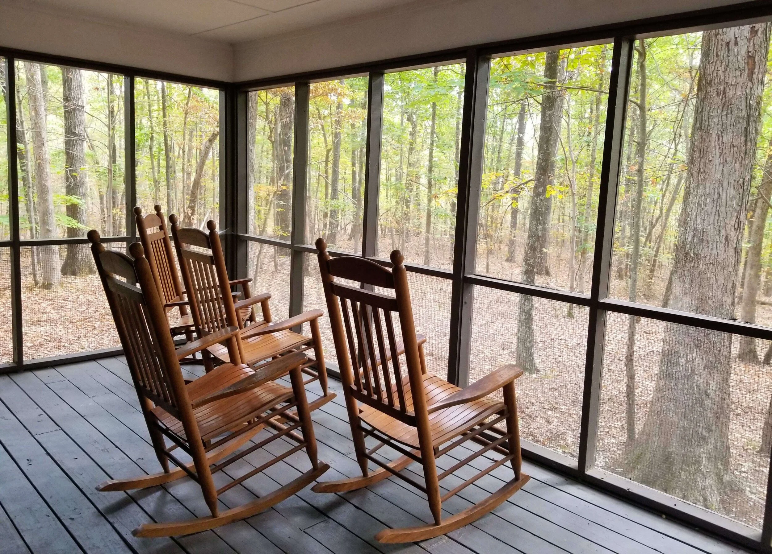 The Definitive Guide To Cloudland Canyon State Park — Simply Awesome Trips