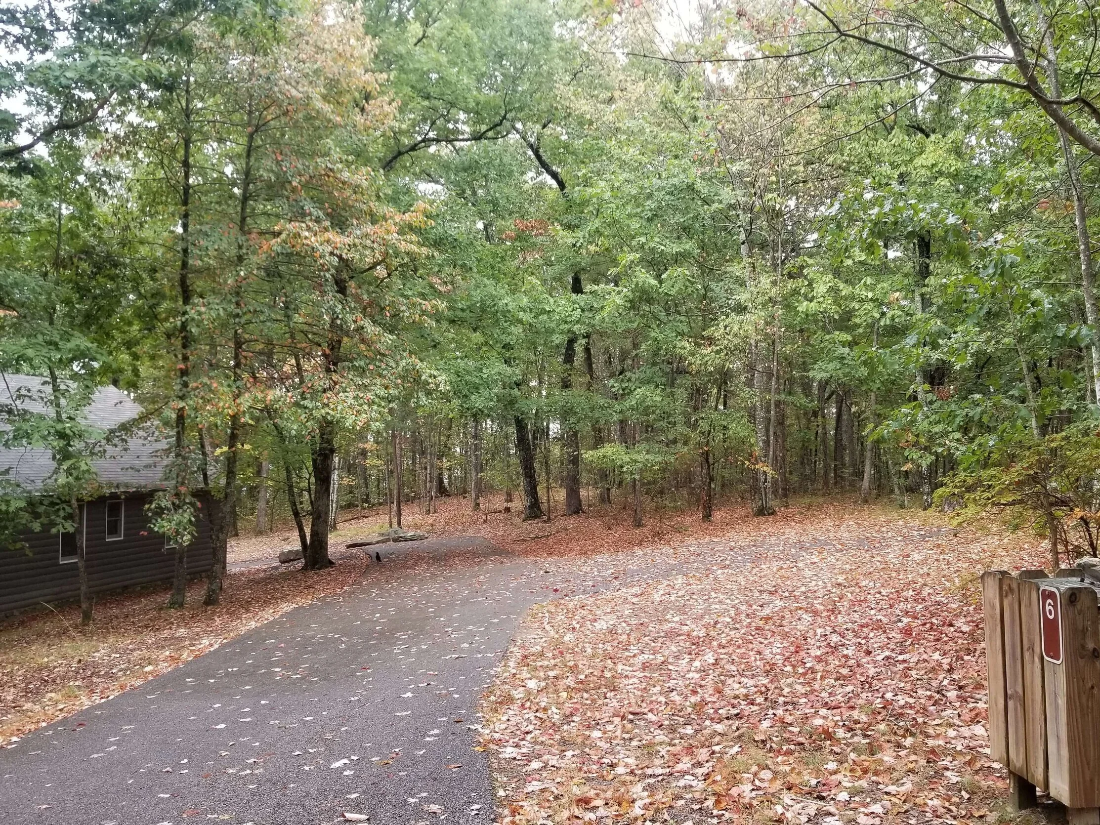 The Definitive Guide To Cloudland Canyon State Park — Simply Awesome Trips