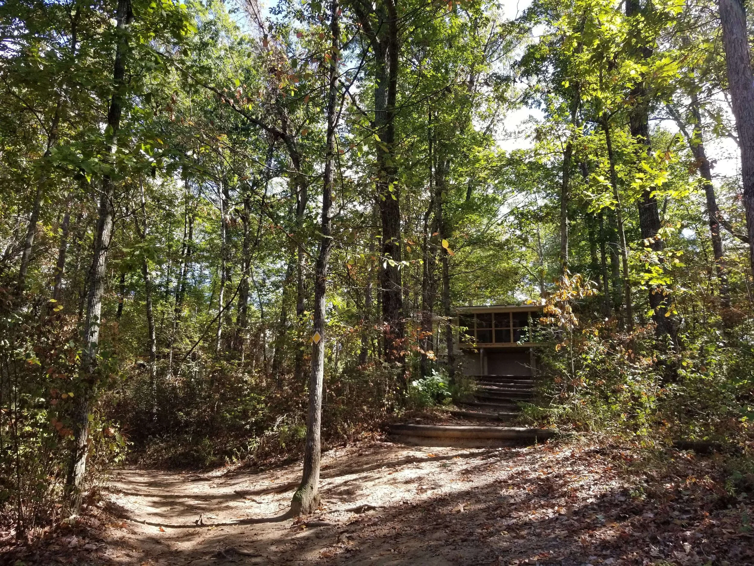 The Definitive Guide To Cloudland Canyon State Park — Simply Awesome Trips