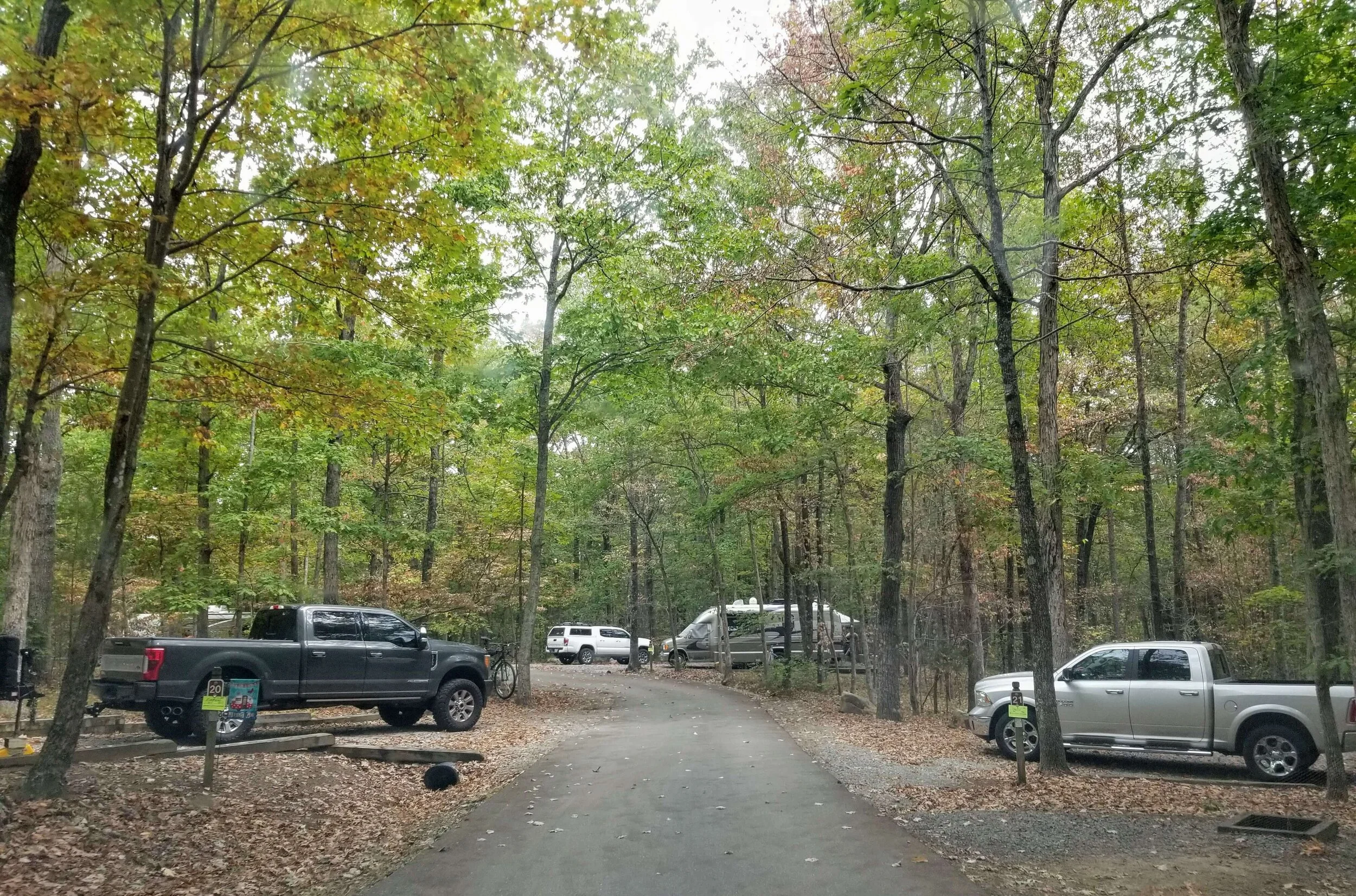 The Definitive Guide To Cloudland Canyon State Park — Simply Awesome Trips