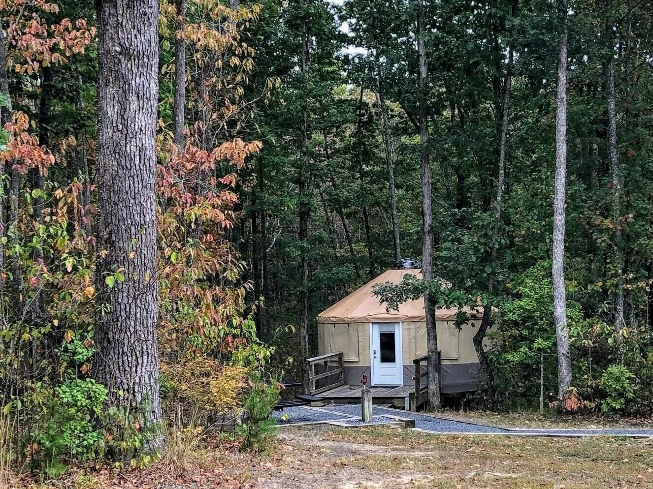 The Definitive Guide To Cloudland Canyon State Park — Simply Awesome Trips