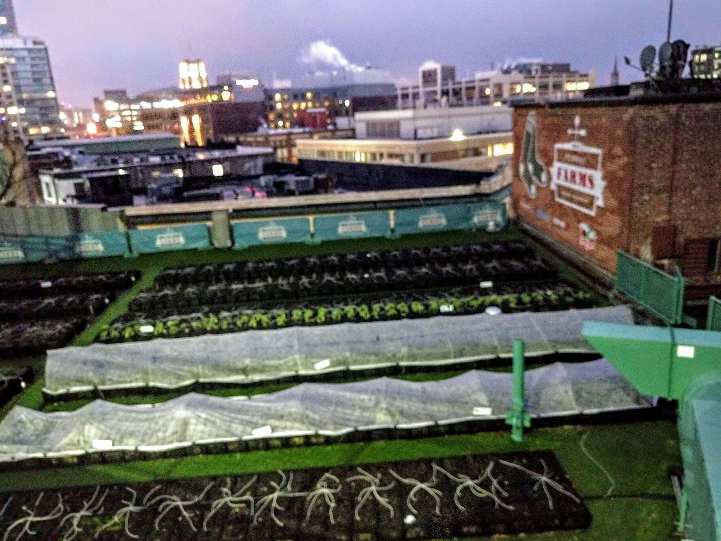 What To Do In Boston In January — Simply Awesome Trips