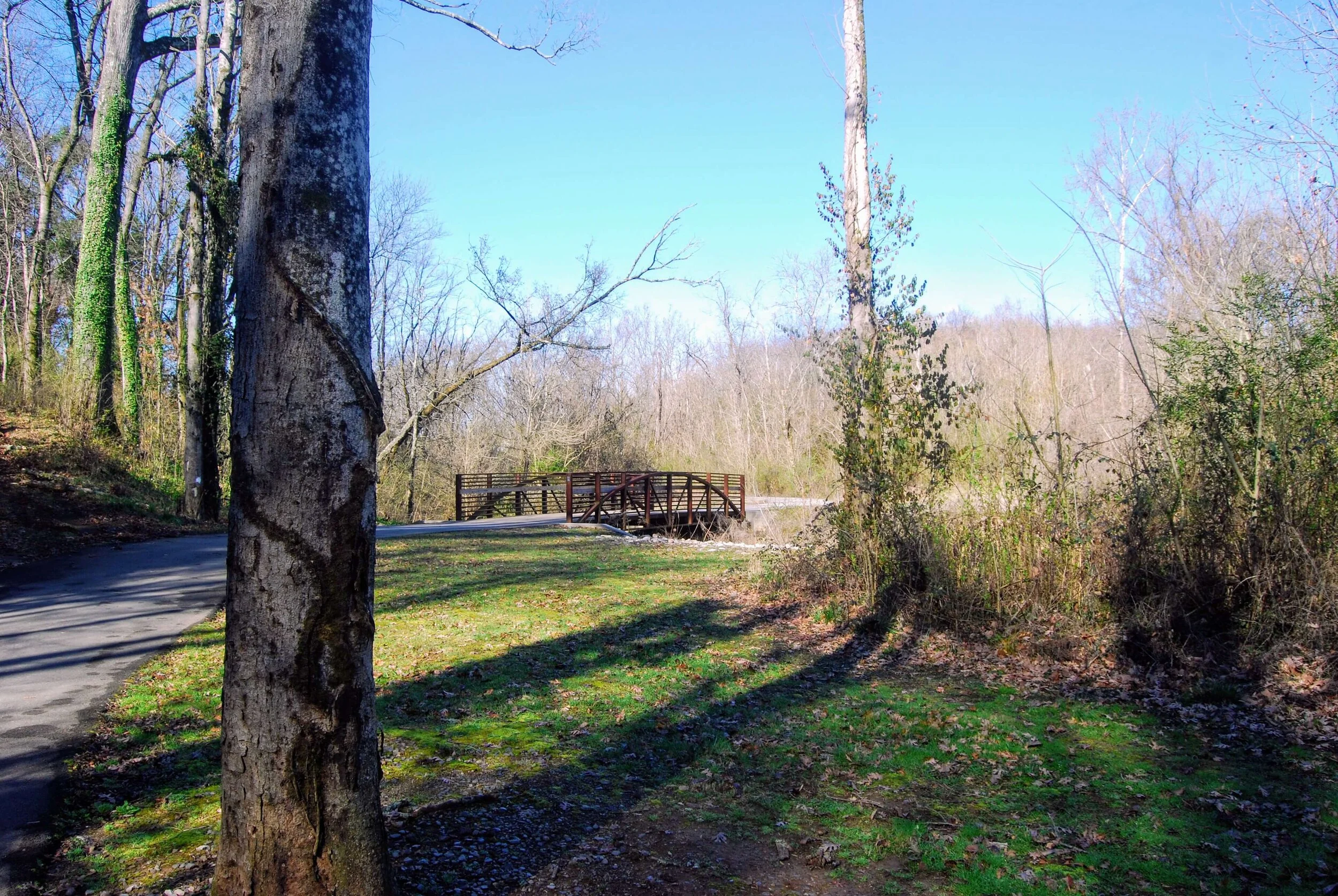 A Family Bike Ride Along Knoxville's Third Creek Greenway — Simply