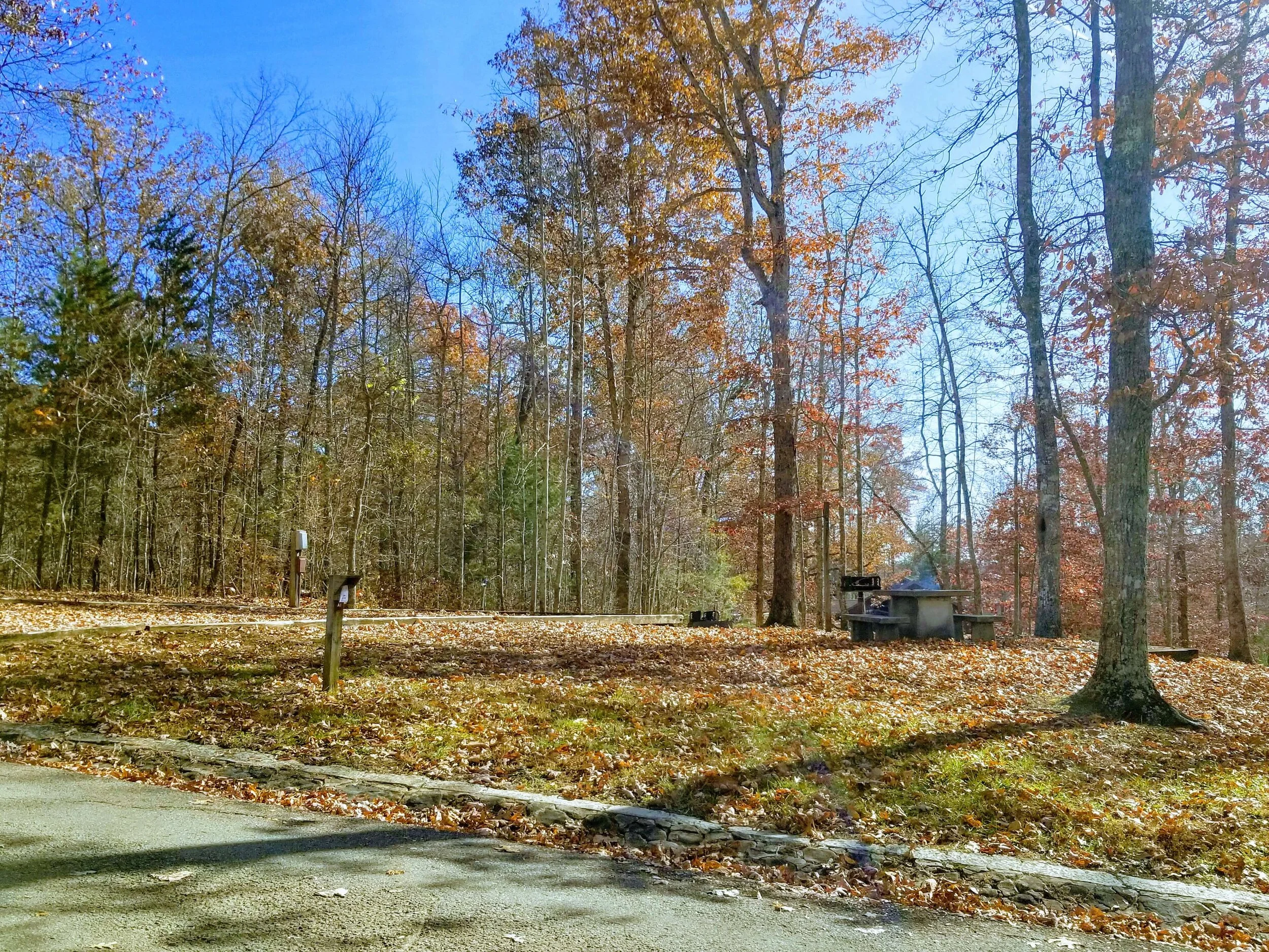 Why Pickett CCC Memorial State Park Is A Great Family Getaway