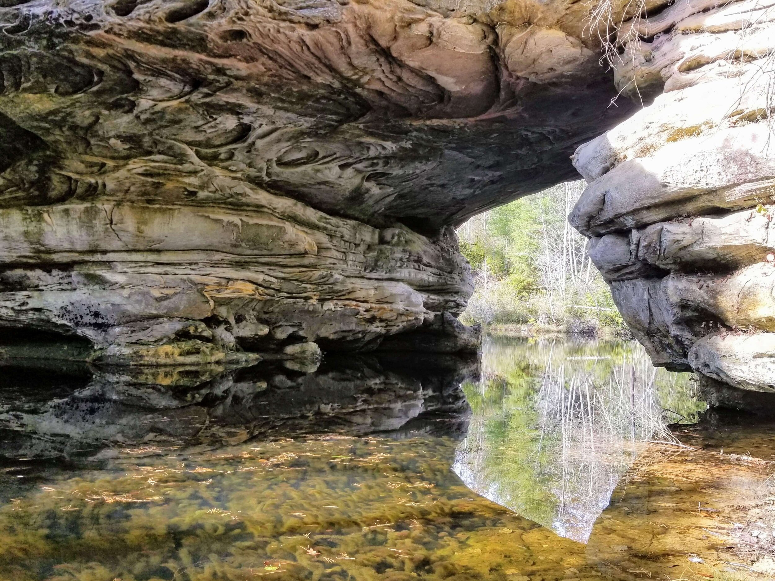 Why Pickett CCC Memorial State Park Is A Great Family Getaway